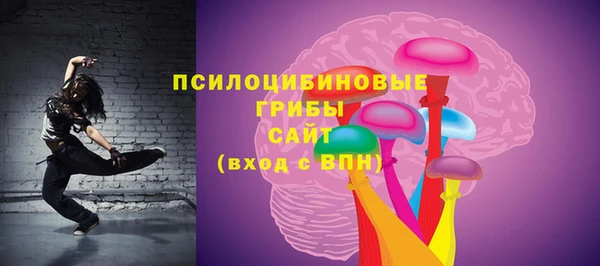 шишки Балахна