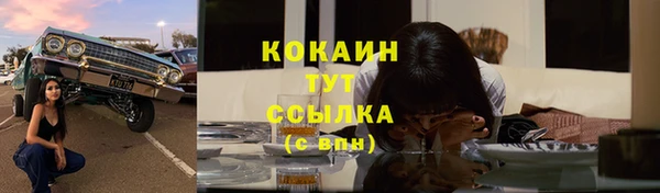 шишки Балахна