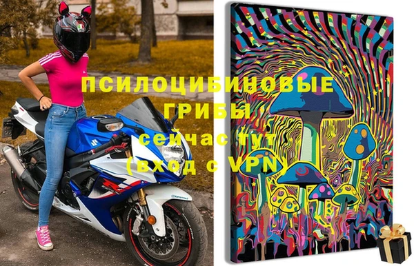 шишки Балахна